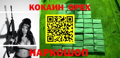 индика Новодвинск