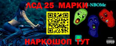 индика Новодвинск