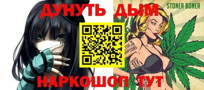 индика Новодвинск