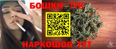 индика Новодвинск