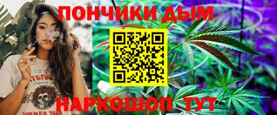 индика Новодвинск