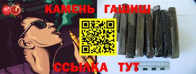 индика Новодвинск