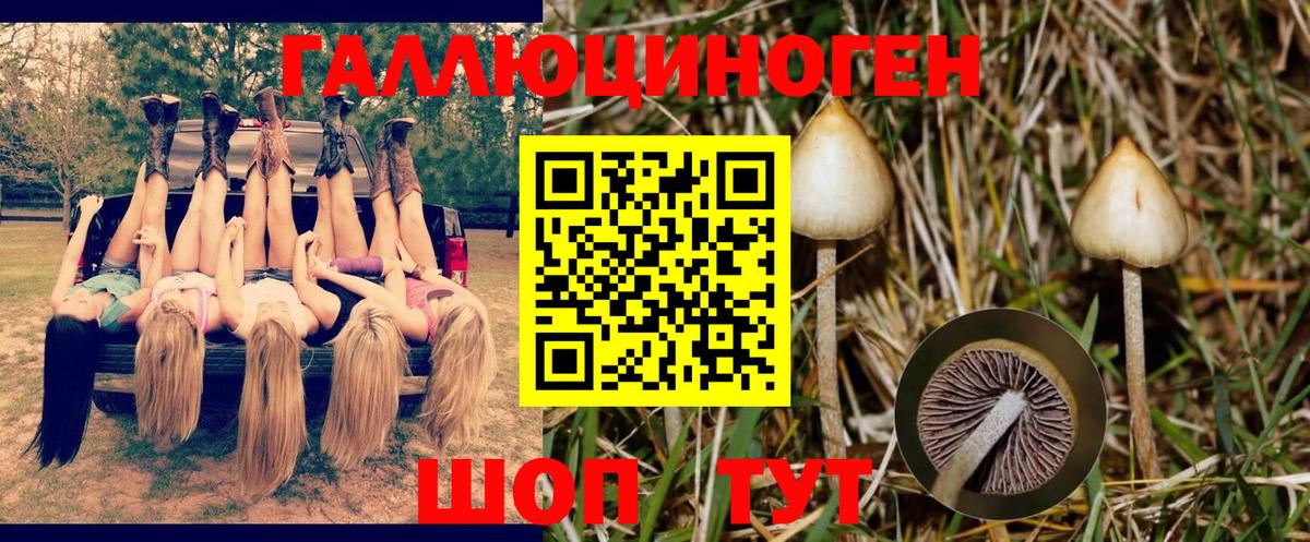 Якутск  Псилоцибиновые грибы Cubensis  Вход с VPN  Галлюциногенные грибы мицелий 
