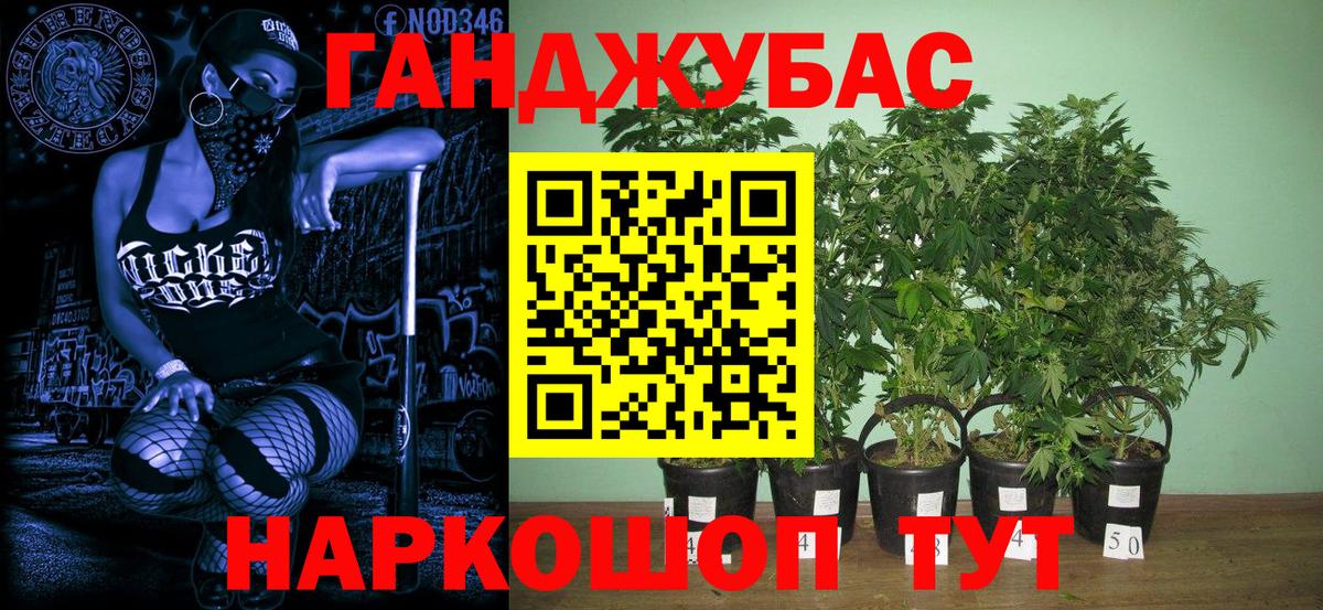 Бошки Шишки Ganja  МАРИХУАНА семена  Бошки Шишки марихуана  Вход с VPN  Якутск 